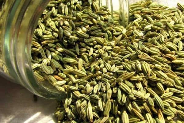 خرید و فروش گلنار فارسی برای عفونت با شرایط فوق العاده